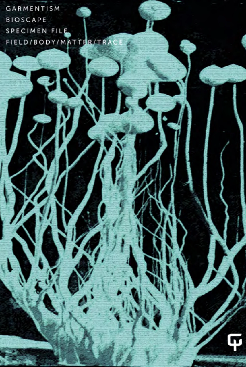 Graphic System — BIOSCAPE — funghi blu