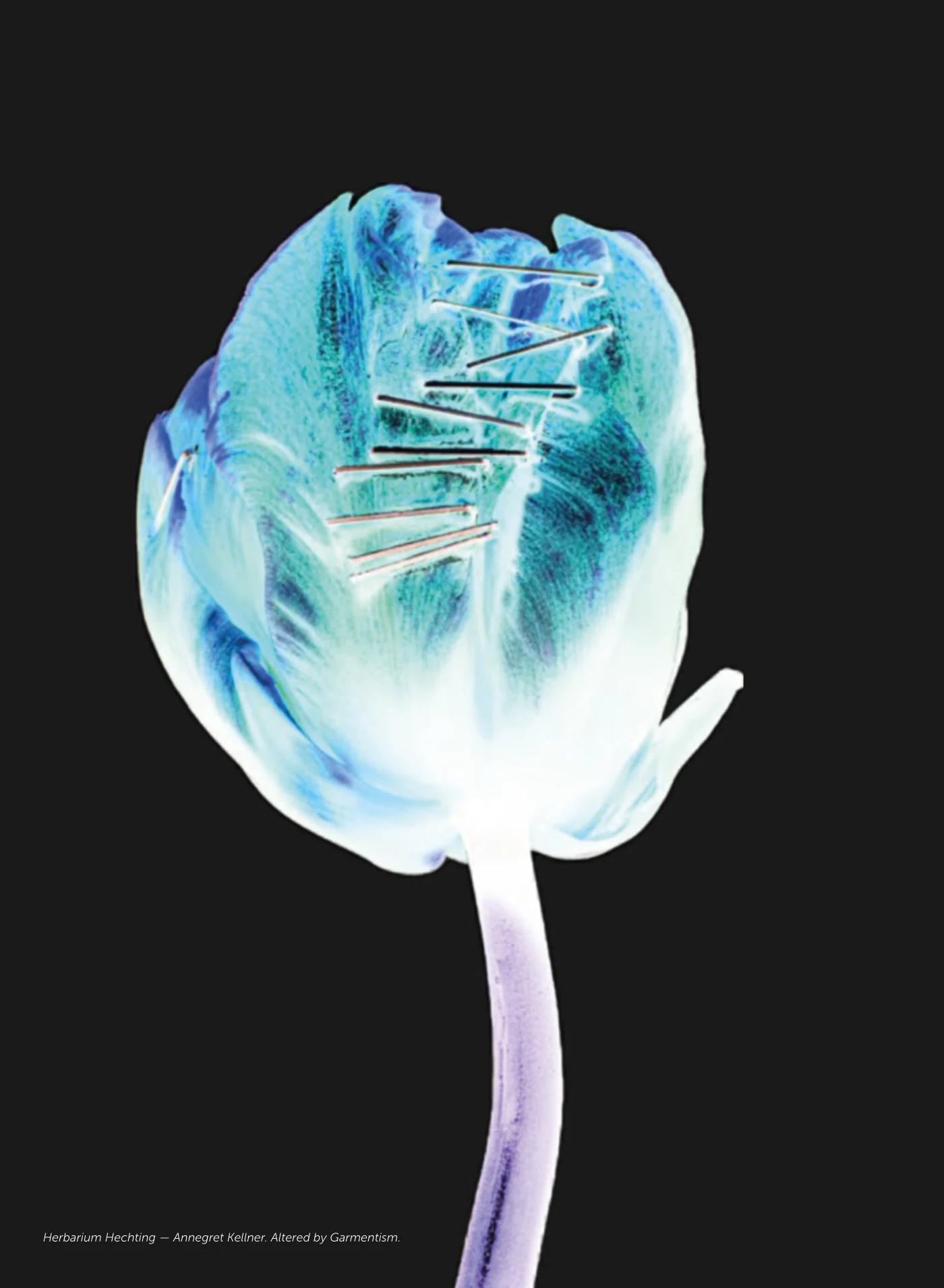 BIOSCAPE SPECIMEN FILE — pagina 12 di 36