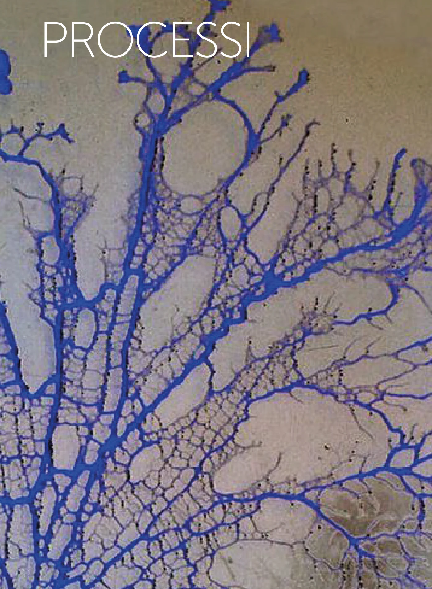 BIOSCAPE SPECIMEN FILE — pagina 17 di 36
