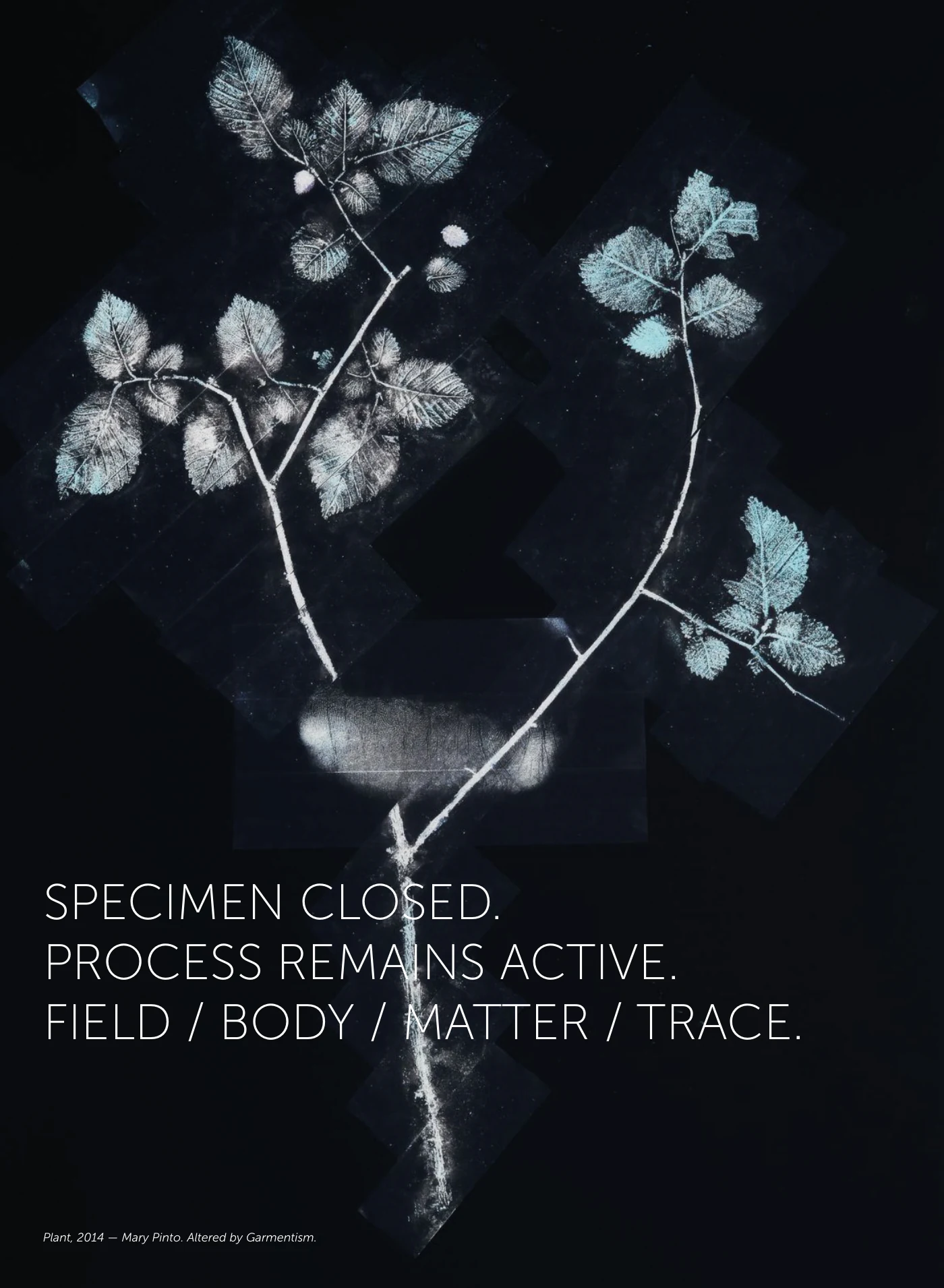 BIOSCAPE SPECIMEN FILE — pagina 18 di 36