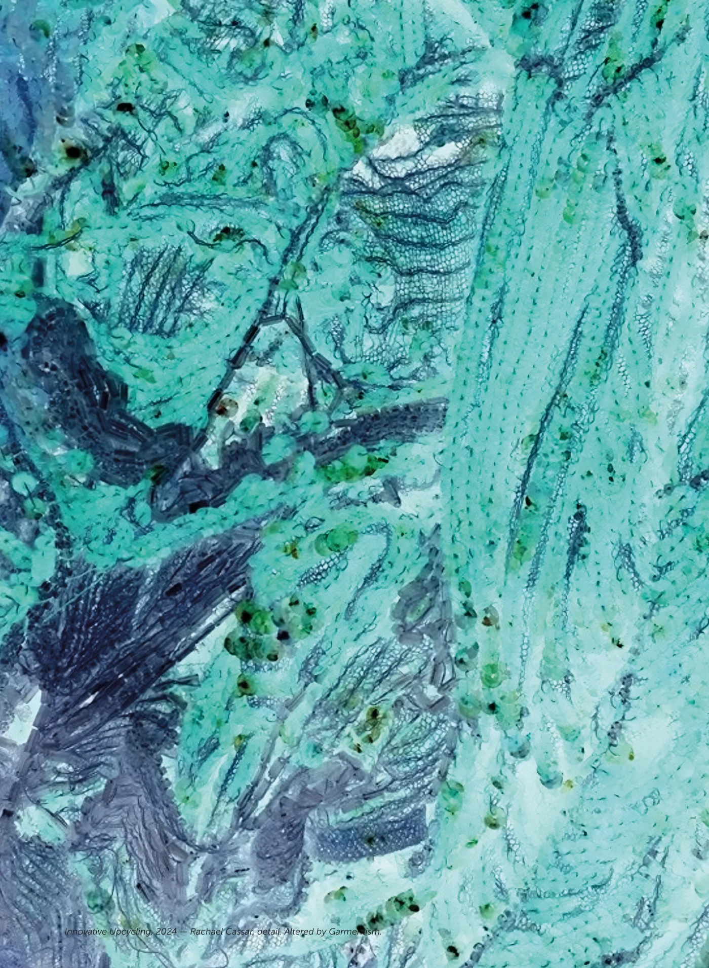 BIOSCAPE SPECIMEN FILE — pagina 27 di 36